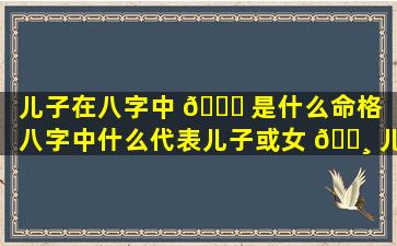 儿子在八字中 🐘 是什么命格「八字中什么代表儿子或女 🌸 儿的字」